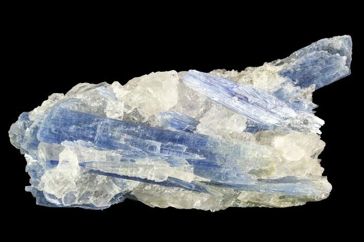 Vibrant Blue Kyanite Crystals in Quartz - Brazil #95585